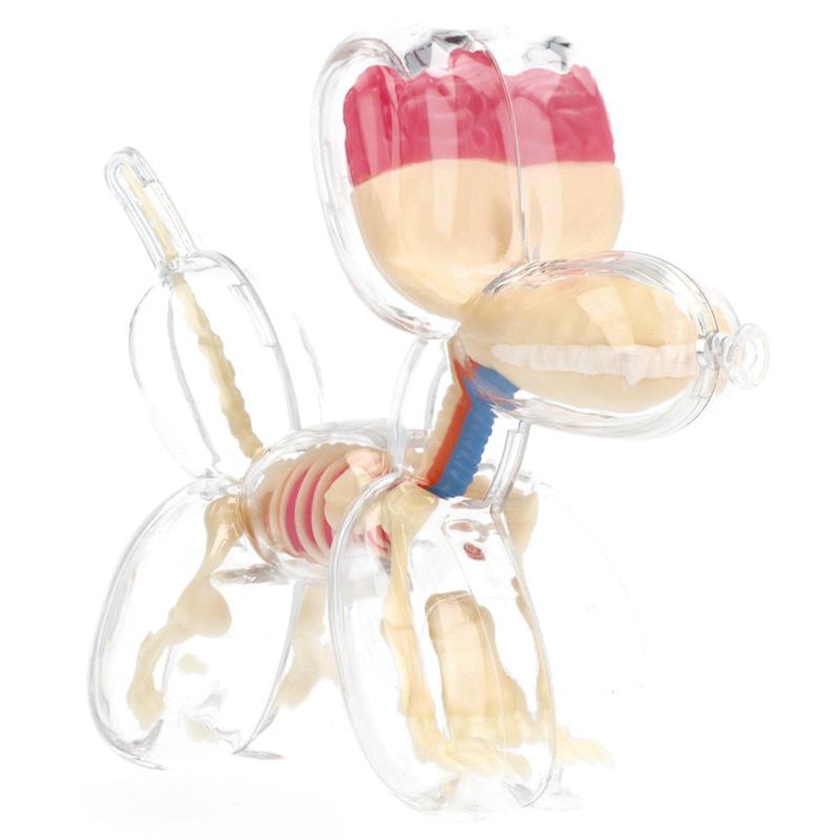 458221 Balloon Dog Anatomy 8211 Jason Freeny