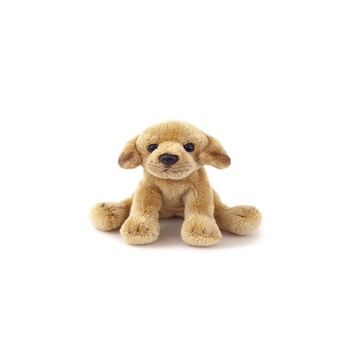 Marley Junior Labrador Small
